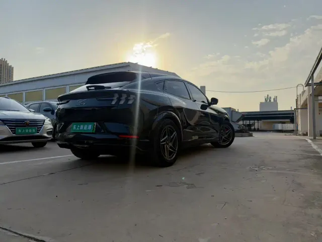 Ford Mustang Mach-E — Фото автомобиля 7