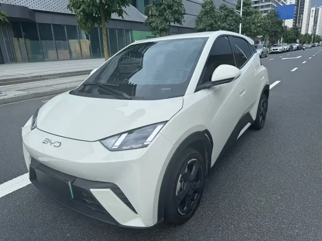 Фотография автомобиля — BYD Seagull