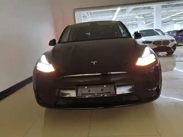 Tesla Model Y — Фото автомобиля 2