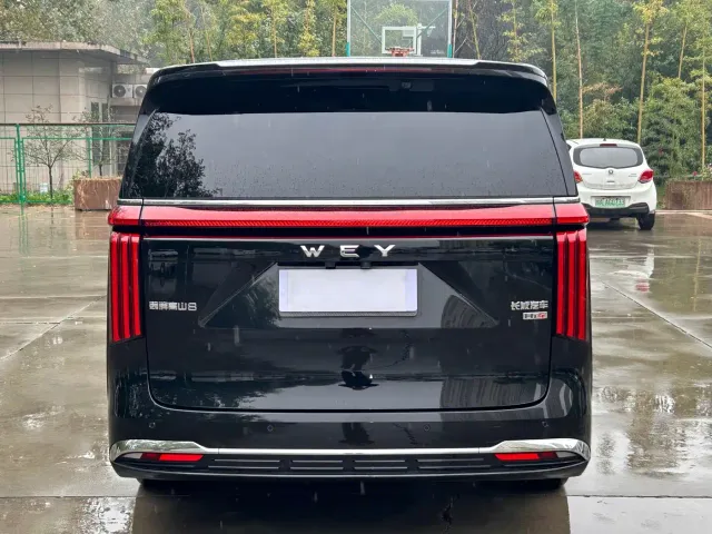 Wey Alpine — Фото автомобиля 15