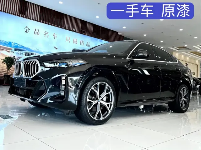 BMW X6 — Фото автомобиля 2