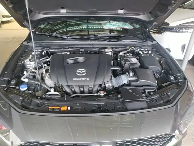 Mazda Axela — Фото автомобиля 19