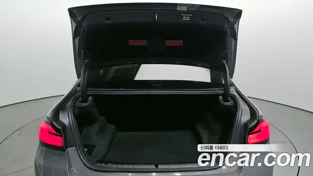 BMW 5-Series 5 серия (G30) 523d xDrive Luxury — Фото автомобиля 20