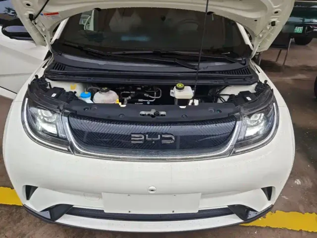 BYD Dolphin — Фото автомобиля 19