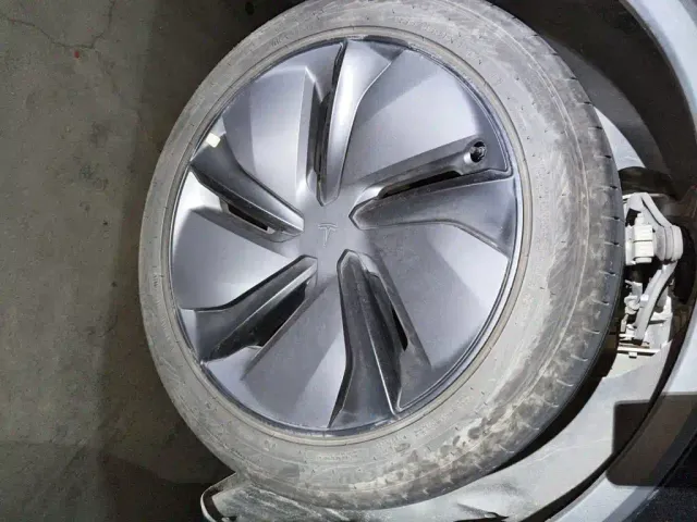 Tesla Model Y — Фото автомобиля 24
