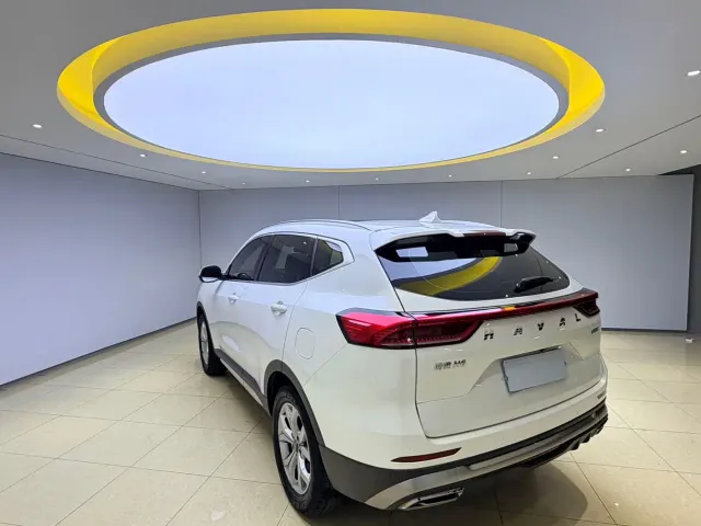Haval H6 — Фото автомобиля 6
