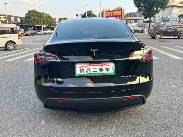 Tesla Model Y — Фото автомобиля 6