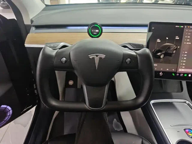Tesla Model Y — Фото автомобиля 10