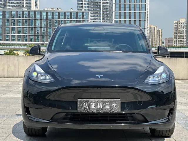 Tesla Model Y — Фото автомобиля 2