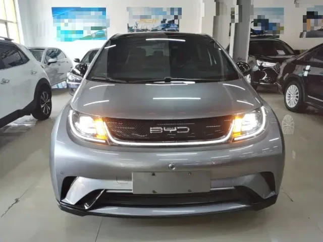 BYD Dolphin — Фото автомобиля 2
