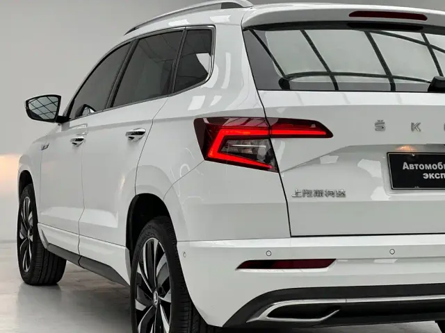 Skoda Karoq — Фото автомобиля 11