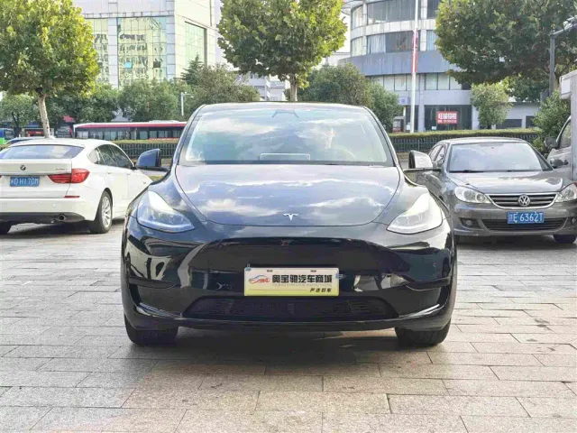 Tesla Model Y — Фото автомобиля 2