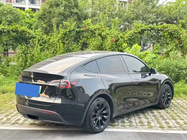 Tesla Model Y — Фото автомобиля 2