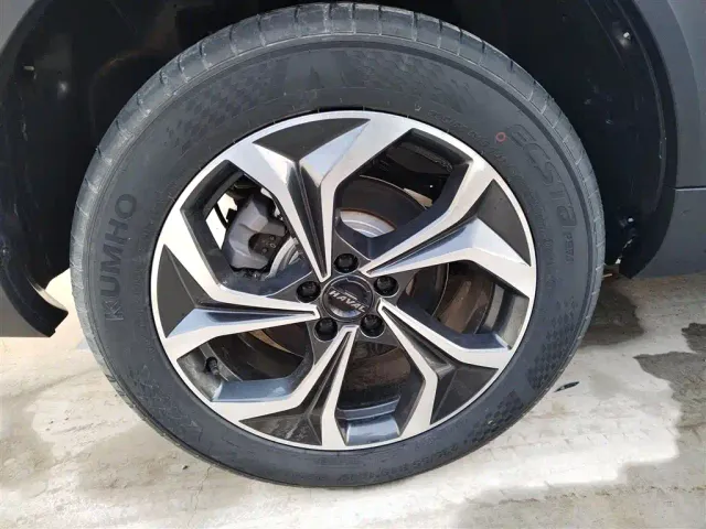 Haval Shenshou — Фото автомобиля 25