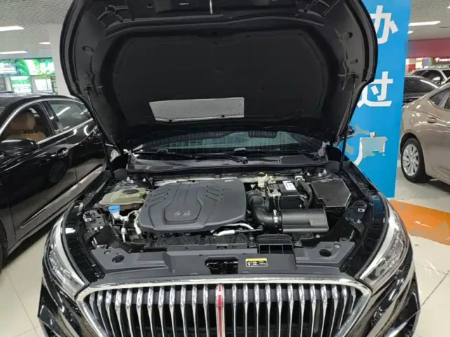 Hongqi H5 — Фото автомобиля 19