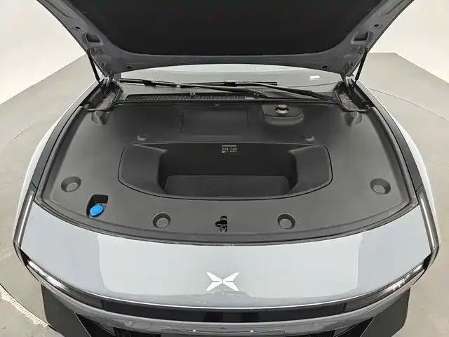 Xpeng P7 — Фото автомобиля 12