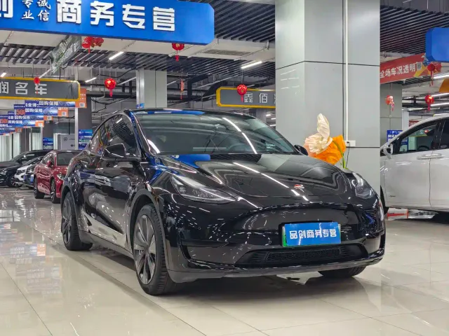 Tesla Model Y — Фото автомобиля 3