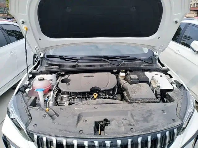 Geely Binrui — Фото автомобиля 19