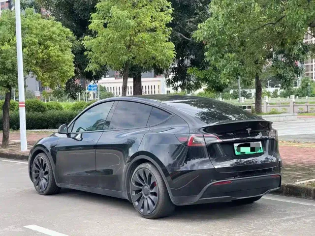 Tesla Model Y — Фото автомобиля 3