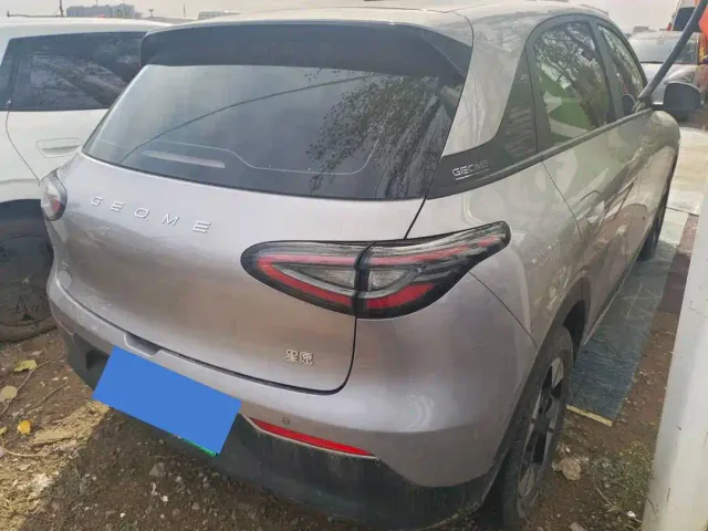 Geely Starry Wish — Фото автомобиля 8