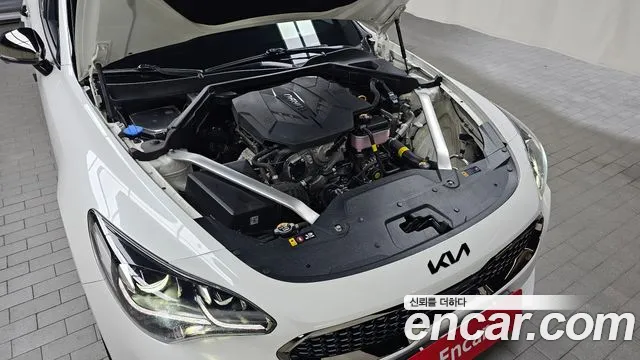 Kia Stinger Stinger Meister 2.5 Masters Acro Edition — Фото автомобиля 6
