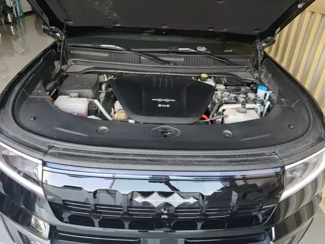 BYD FangChengBao Leopard 8 — Фото автомобиля 19
