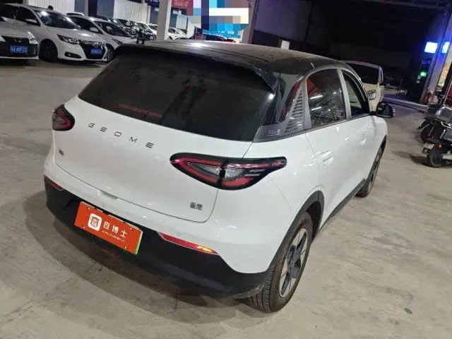 Geely Starry Wish — Фото автомобиля 6