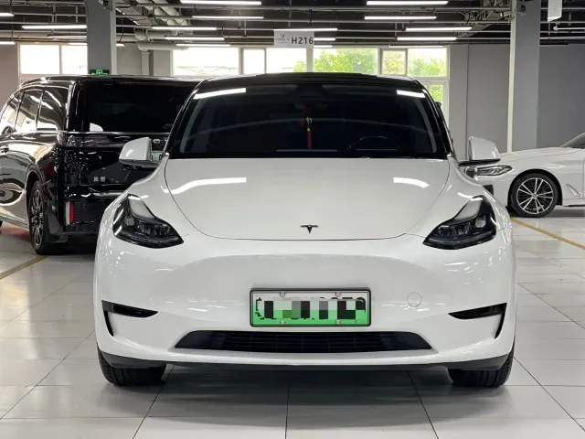 Tesla Model Y — Фото автомобиля 2