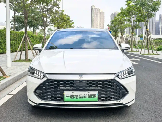 BYD Qin PLUS — Фото автомобиля 2
