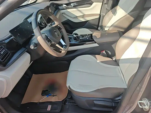 BYD Qin PLUS — Фото автомобиля 14
