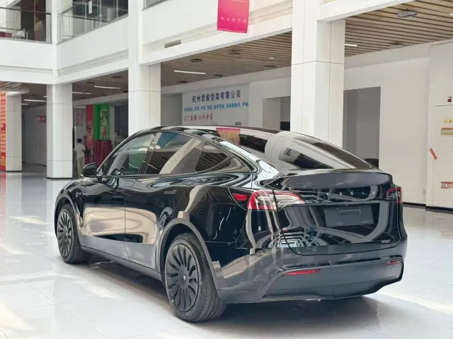 Tesla Model Y — Фото автомобиля 7