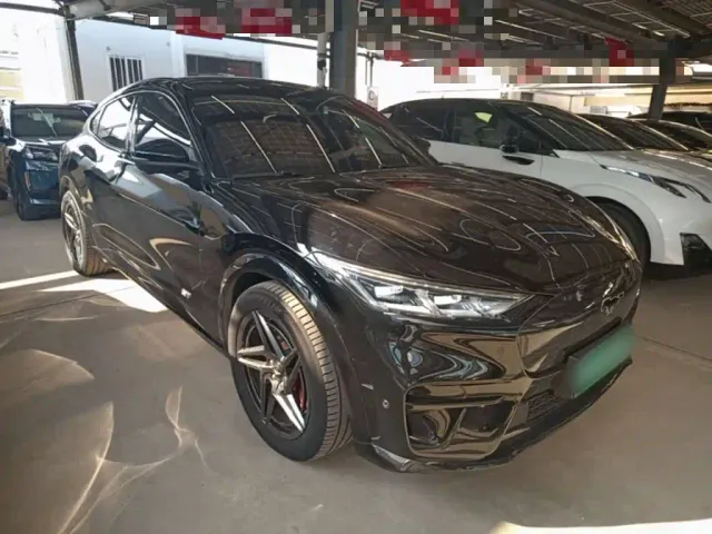Ford Mustang Mach-E — Фото автомобиля 3