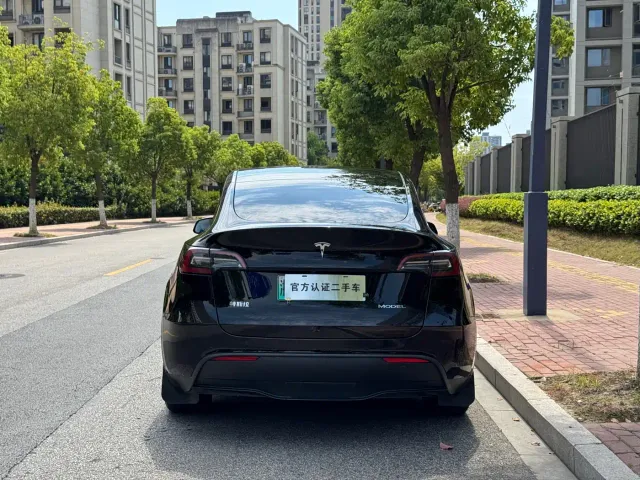 Tesla Model Y — Фото автомобиля 8