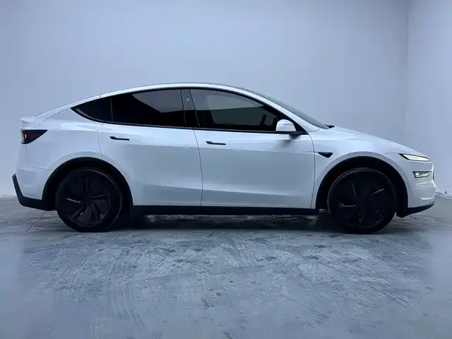 Tesla Model Y — Фото автомобиля 9