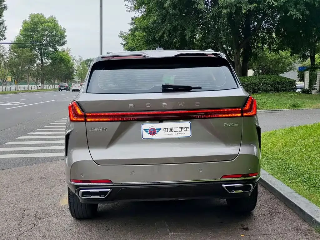 Roewe Roewe RX9 2023 2.0T 2WD Premium Edition — Фото автомобиля 5