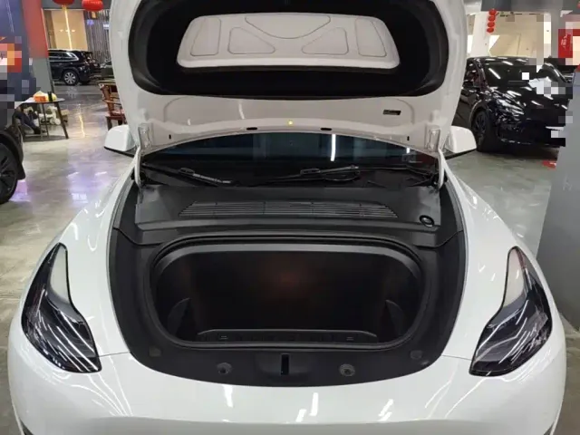 Tesla Model Y — Фото автомобиля 19