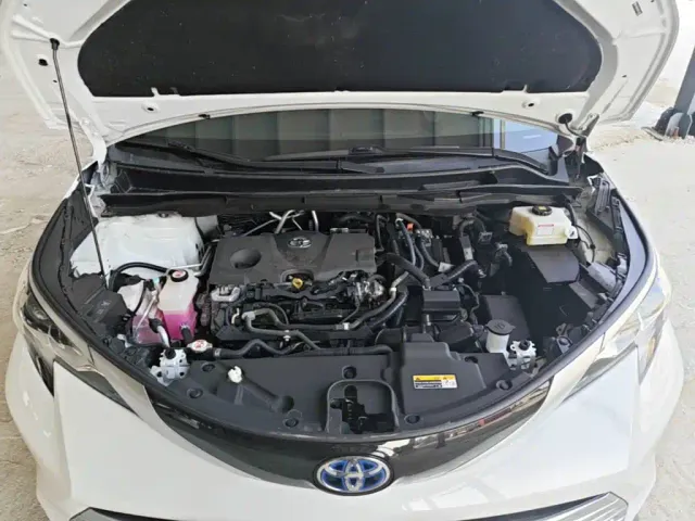 Toyota Sienna — Фото автомобиля 19