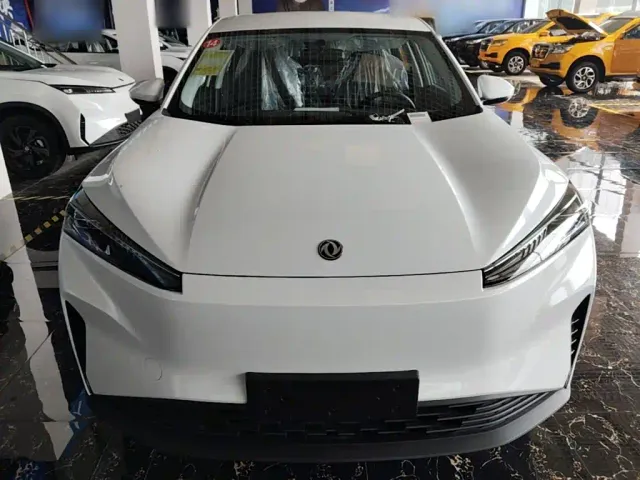 Dongfeng SKY EV01 — Фото автомобиля 2