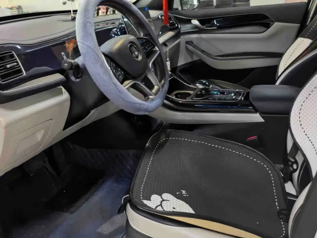BYD Qin PLUS — Фото автомобиля 3