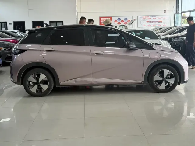 BYD Dolphin — Фото автомобиля 6