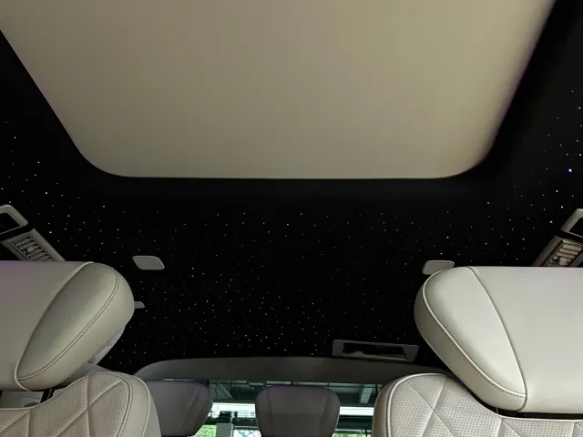 Wey Alpine — Фото автомобиля 21