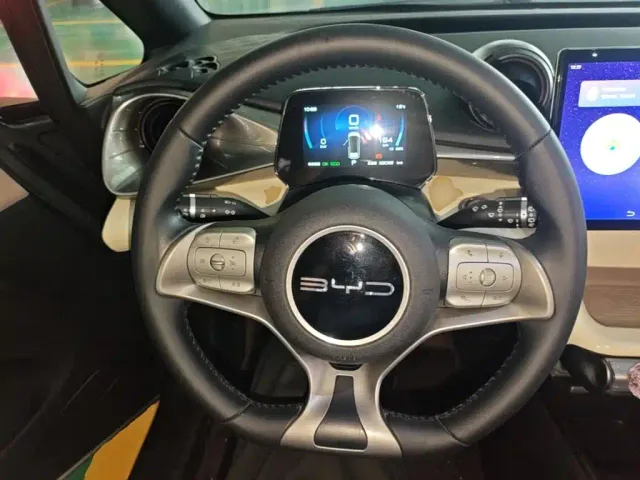 BYD Dolphin — Фото автомобиля 10