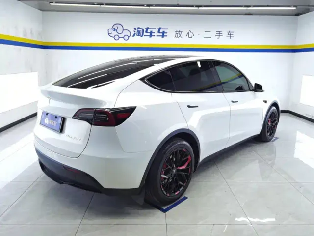 Tesla Model Y — Фото автомобиля 3