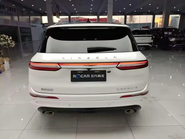 Lincoln Adventurer NEV — Фото автомобиля 20