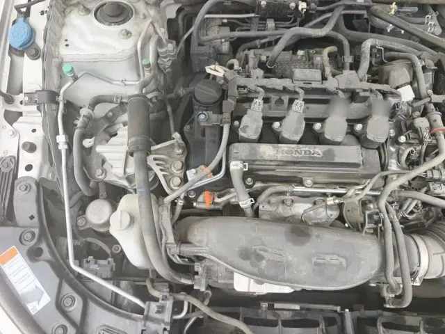 Honda Civic — Фото автомобиля 20