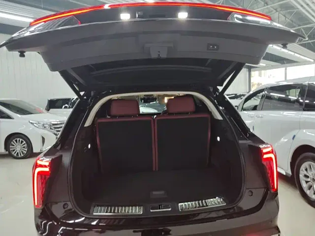 Hongqi E-HS9 — Фото автомобиля 18