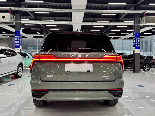 Wey Lanshan — Фото автомобиля 2
