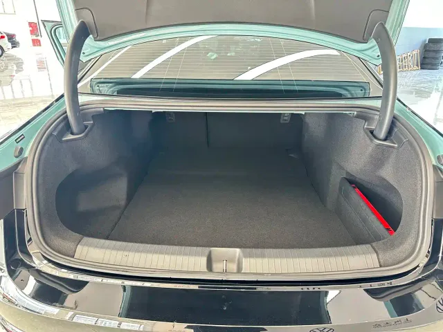 Volkswagen Passat — Фото автомобиля 16