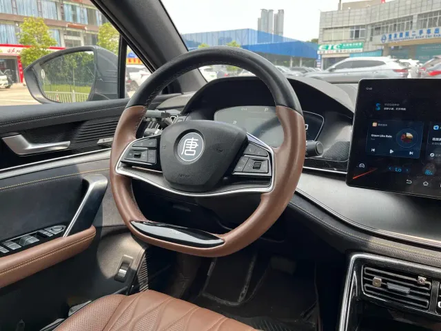 BYD Tang New Energy 2021 DM-i 112KM Premium — Фото автомобиля 7