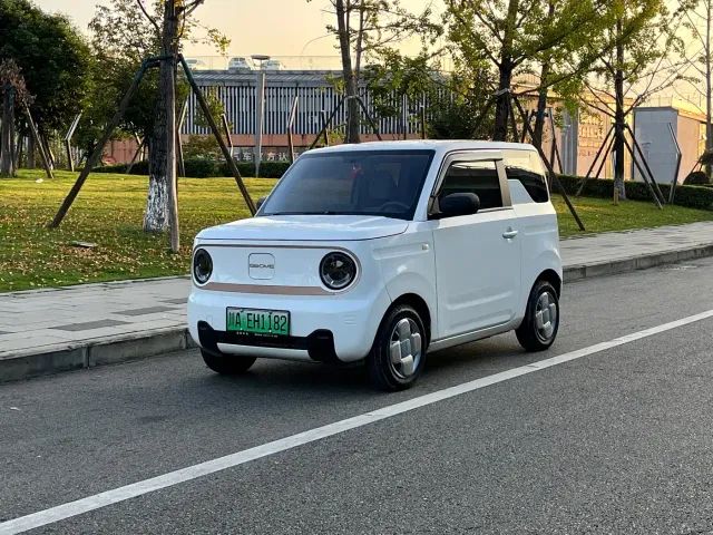 Фотография автомобиля — Geely Panda